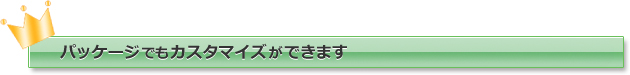 パッケージでもカスタマイズができます